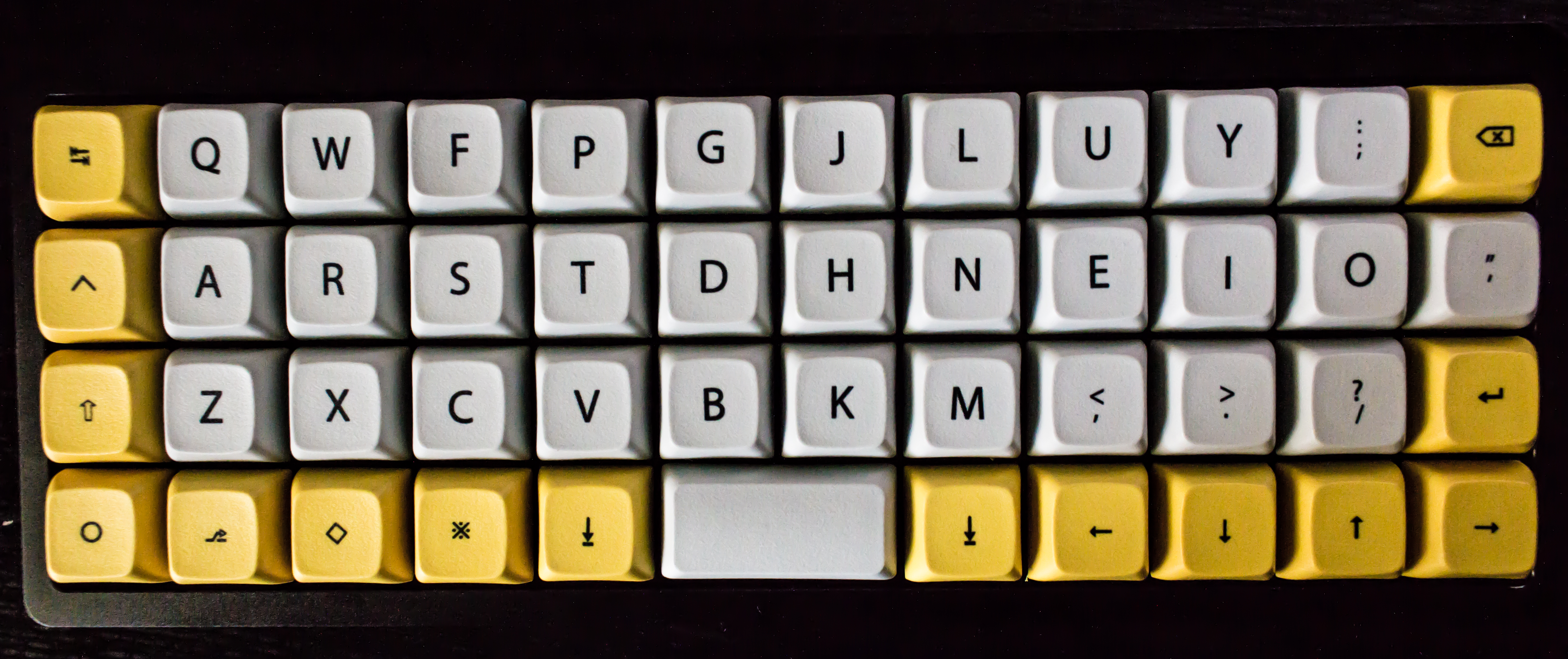 Niu 40