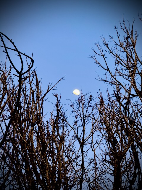 ttl_week_63